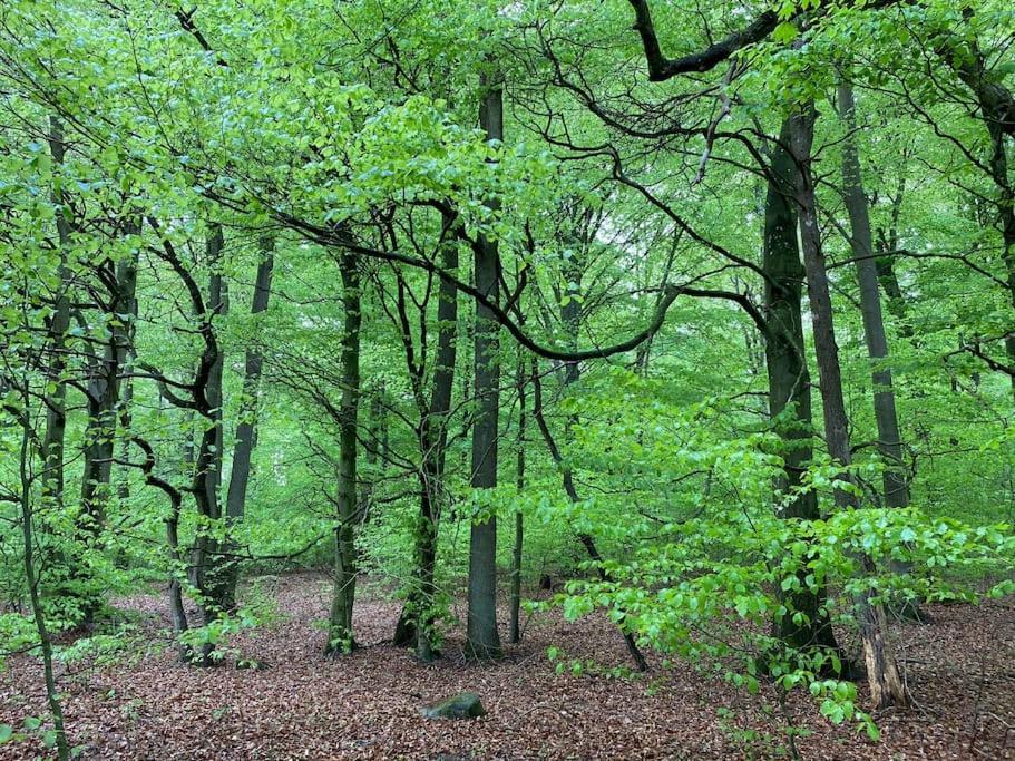 Traumhafte Ferienwohnung Im Landhausstil Hanshagen  Extérieur photo